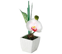 Eglo Eglo 75154