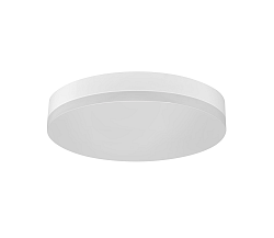 Greenlux LED Mennyezeti lámpa LED/12W/230V IP44