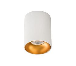 Kanlux Mennyezeti spotlámpa RITI GU10/25W/230V