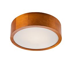 Lamkur LED Menyezeti lámpa 1xLED/12W/230V