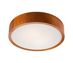 Lamkur LED Menyezeti lámpa 1xLED/12W/230V