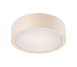 Lamkur LED Menyezeti lámpa 1xLED/12W/230V
