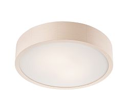Lamkur LED Menyezeti lámpa 1xLED/24W/230V