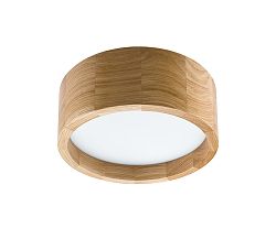Lamkur LED Menyezeti lámpa LED/12W/230V