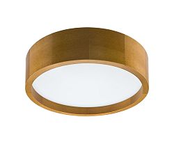 Lamkur LED Menyezeti lámpa LED/12W/230V