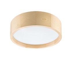 Lamkur LED Menyezeti lámpa LED/12W/230V