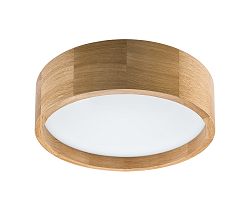 Lamkur LED Menyezeti lámpa LED/12W/230V