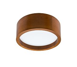 Lamkur LED Menyezeti lámpa LED/21W/230V