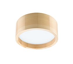 Lamkur LED Menyezeti lámpa LED/21W/230V