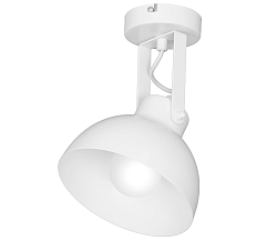 Luminex Spotlámpa EINAR 1xE27/60W/230V
