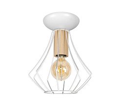 Milagro Mennyezeti lámpa WILL 1xE27/60W/230V