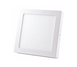 Nedes LED Menyezeti lámpa LED/24W/230V 4000K