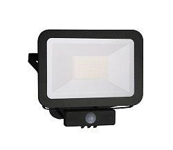 Nedes LED Reflektor érzékelős LED/30W/230V IP65