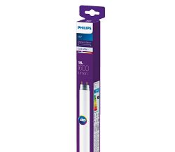 Philips Philips