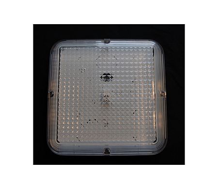 TOP LIGHT Top Light
